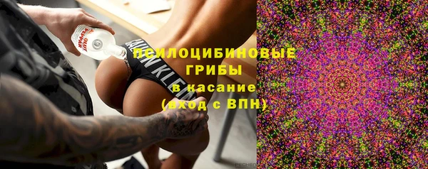 гашик Алзамай