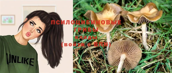 эйфоретик Алексеевка