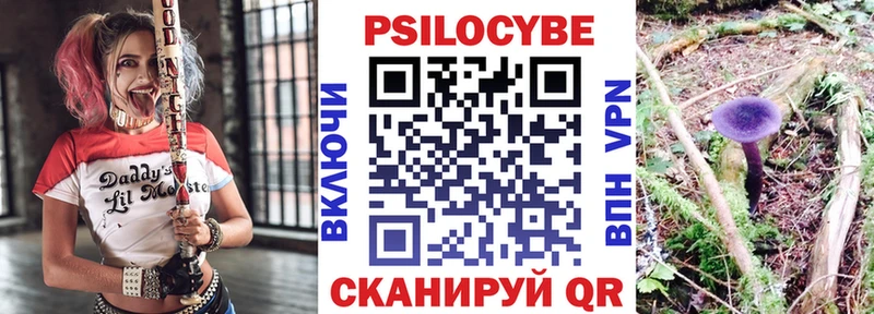 Галлюциногенные грибы Cubensis  Заводоуковск 